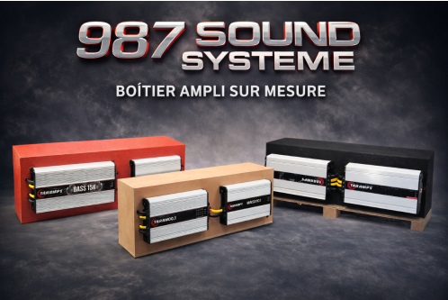 boitier ampli + cablage et accessoire sur mesure