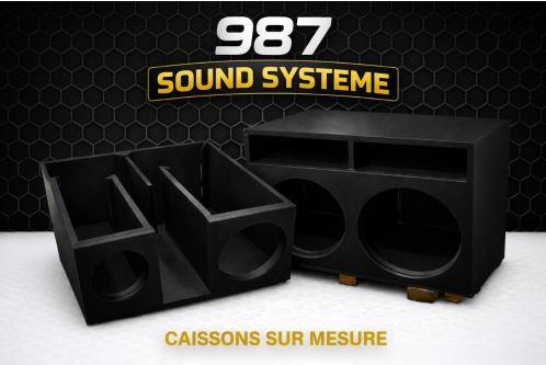 Caisson Bass Reflex Double 15" (38 cm) – Sur mesure