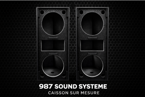 Caisson colonne sur mesure – 2×8" (20 cm) + Tweeter