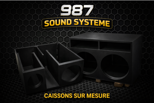 Caisson Bass Reflex Double 10" (25 cm) – Sur mesure